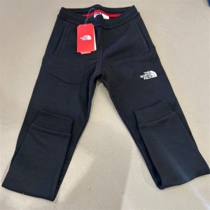 the north face fleece pant
