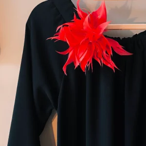 SPILLA - FERMACAPELLI PIUME ROSSA