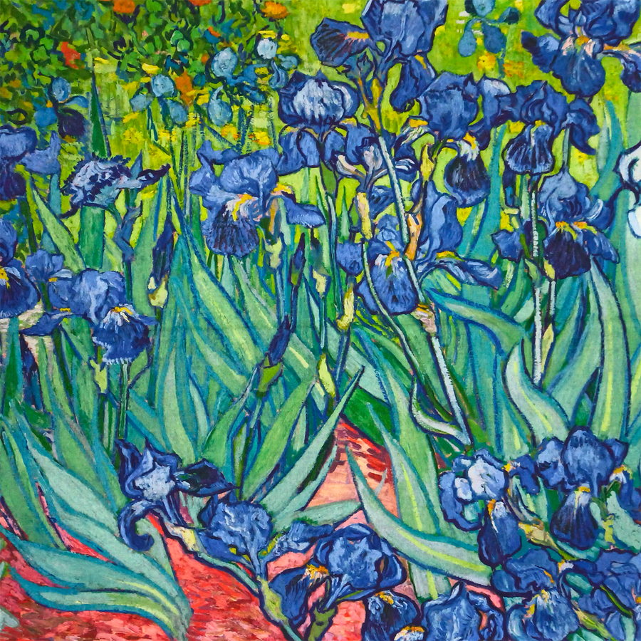 Sciarpa d’ autore raffigurante il quadro “IRIS” di Van Gogh - immagine 8