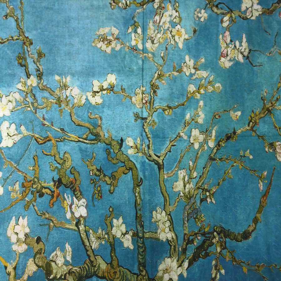 Completo d’ autore sciarpa più guanti raffigurante il quadro “IL MANDORLO FIORITO” di Van Gogh - immagine 7