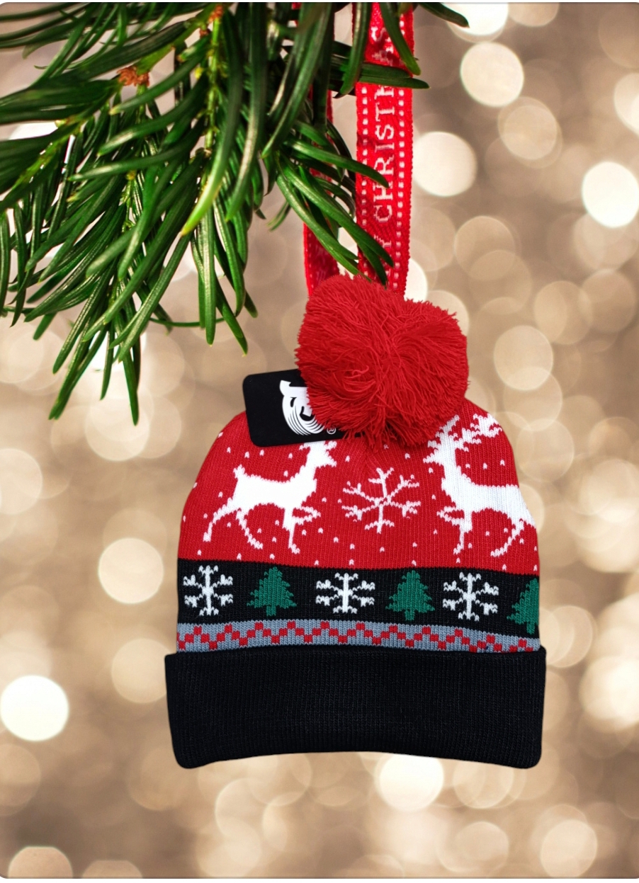 Cappello per bambini con pon pon serie Natale modello renne dì Babbo Natale - immagine 3