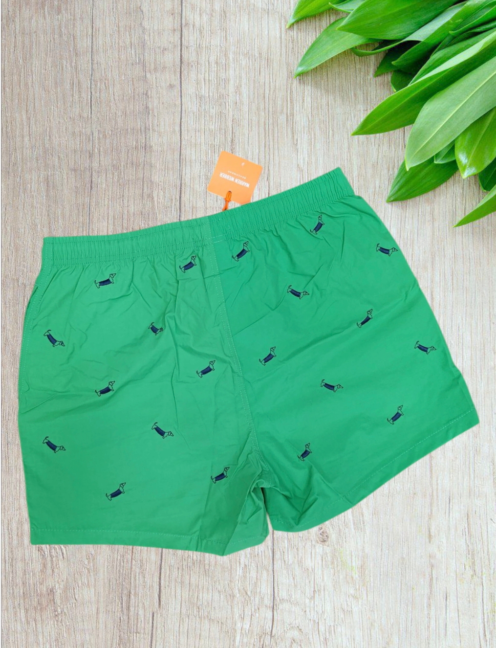 Costume uomo a pantaloncino modello “Bassotto” in colore verde - immagine 4